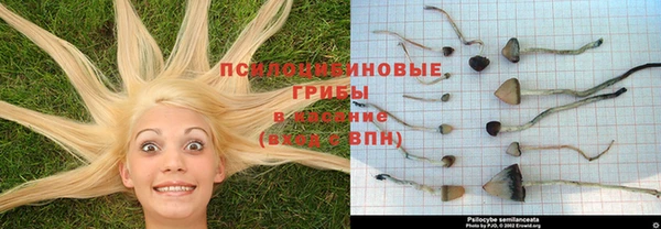 хмурый Балабаново