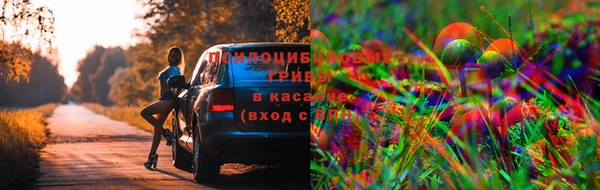 хмурый Балабаново