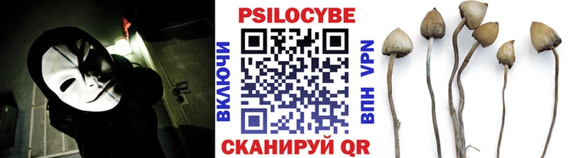 Купить  Ельня  Галлюциногенные грибы Psilocybine cubensis 